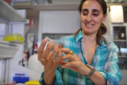 В Испании открыт вид гусениц, поедающих пластиковые пакеты