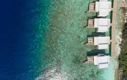 Новейший островной курорт Dhigali Maldives открылся 1 июня 2017 года