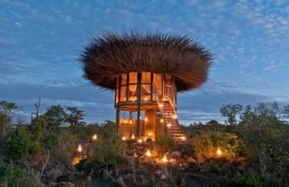 В Кении открыли пятизвездочный отель-«гнездо»