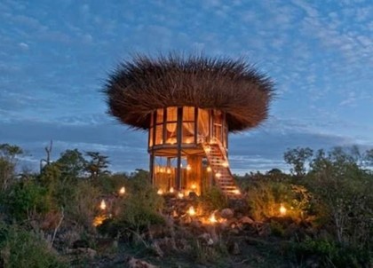 В Кении открыли пятизвездочный отель-«гнездо»