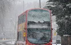 Сильные снегопады вызвали хаос в транспортном сообщении в Европе