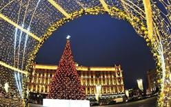 Самая крупная искусственная новогодняя ель в Москве установлена на Лубянской площади