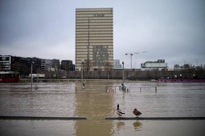 Наводнение в Париже привело к закрытию крупных музеев и круизов по Сене