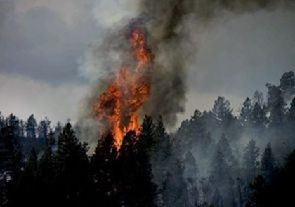 В Чехии горят леса