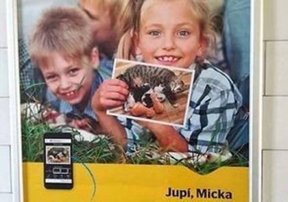 Активистов возмутило фото кошек на рекламе Чешской почты
