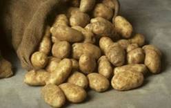 Испанцу грозит тюрьма за 50 кг картошки