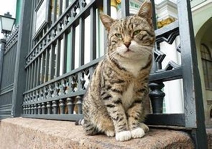 Спектакль о приключениях эрмитажных котов представят в Петербурге