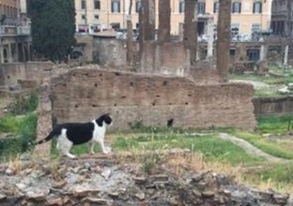 Римскую площадь отремонтируют за миллион евро