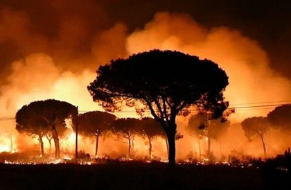 Пожар уничтожает леса в Испании