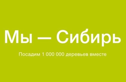 S7 Airlines завершила сбор средств на посадку миллиона деревьев в Сибири