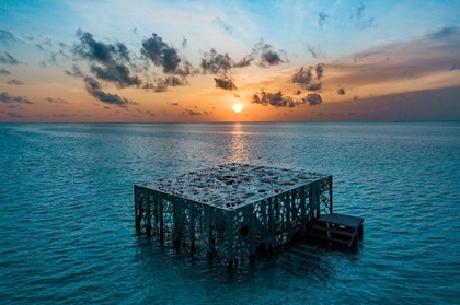 Fairmont Maldives Sirru Fen Fushi представляет новую подводную инсталляцию Джейсона Тейлора