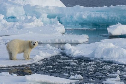В Арктику можно привлекать студентов по обмену и медицинских туристов