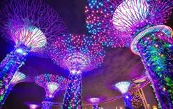 В Сингапуре оценили эффективность кампании «Воплощая задуманное»