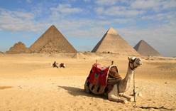 Коронавирус  может ускорить «открытие» Египта