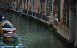 Вода в каналах Венеции стала чище из-за карантина