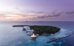 Обновление клятв на райском острове Baros Maldives