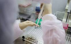 «Не панацея» - вакцина от COVID-19 вряд ли победит пандемию