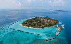 Посмотреть на скатов Манта в Kurumba Maldives