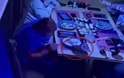 Рататуй по-русски. Крыса напала на посетителей туристического ресторана в Приморье