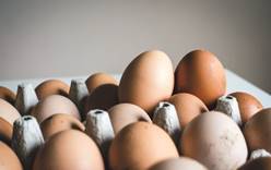 В Британии дефицит куриных яиц