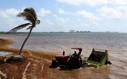 Америка под угрозой, Флорида ожидает экологическую катастрофу