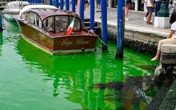 Вода Большого канала в Венеции окрасилась в ярко-зелёный цвет