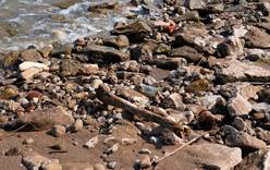Усеянный человеческими останками пляж обнаружили в Татарстане