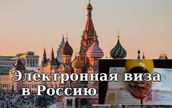 Электронные виз в Россию интересны только тем, кто хочет купить продукты и навестить родных