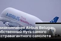 Airbus Beluga: запуск собственной авиакомпании 