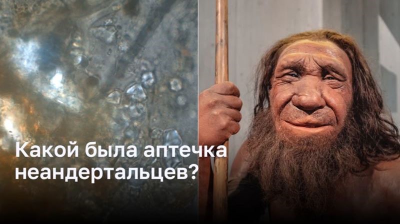 Какой была аптечка неандертальцев?
