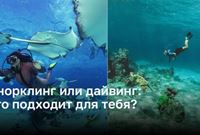 Какое подводное приключение выбрать: снорклинг или дайвинг?