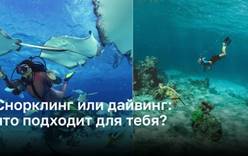 Какое подводное приключение выбрать: снорклинг или дайвинг?
