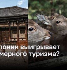 Как олени в Японии выигрывают от интенсивного туризма