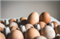 В Британии дефицит куриных яиц