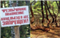 «Просим отнестись с пониманием»: в Калининградской области будет введен запрет на посещение лесов