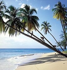 Планируйте отдых на Барбадосе заранее!