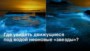 Лучшие места для наблюдения биолюминесценции под водой