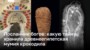 Посланник богов: какую тайну хранила древнеегипетская мумия крокодила 