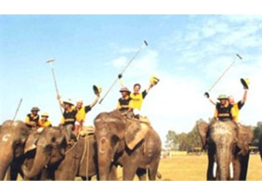Международный турнир по игре в поло на слонах 
