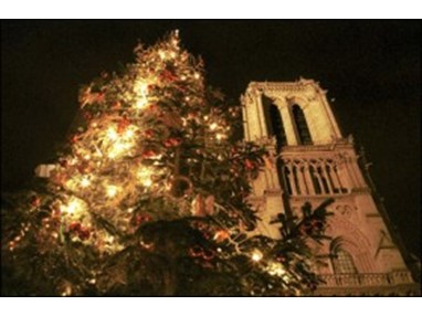 Рождественские елки в Париже