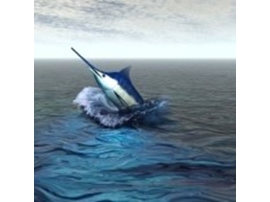 В Кап-Кане откроется сезон рыболовных турниров «Cap Cana Fishing Competition 2011»