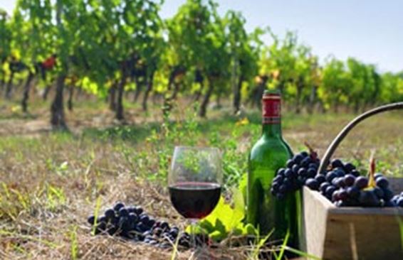 Всенародный праздник вина в Армении