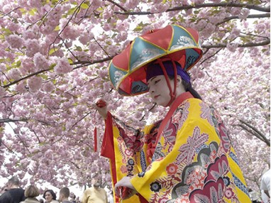 Ханами - праздник цветения сакуры