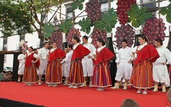Винный фестиваль в Португалии