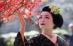 Момидзи-гари или любование клёнами по-японски