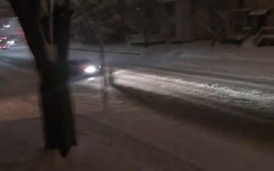 Водителя автобуса уволили за наезд на снеговика