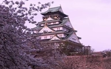Цветение сакуры в Осаке