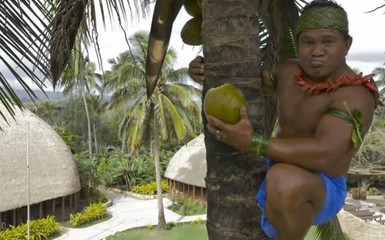 Мастер-класс для туристов: как залезть на пальму за кокосом