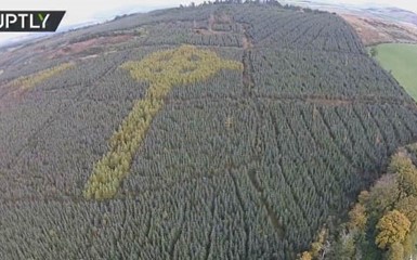 В ирландском лесу обнаружили кельтский крест