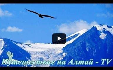 Полет Коршуна в Курайской степи на Алтае в 4K.
